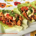 Turkey Taco Lettuce Wraps 1