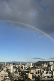 Weeks 13/14 Rainy Season