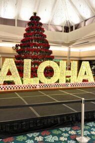 Week 17/18 Four Months