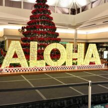 Week 17/18 Four Months