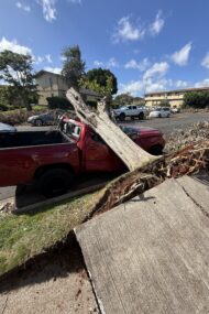 Weeks 53-57  Hurricane Watch