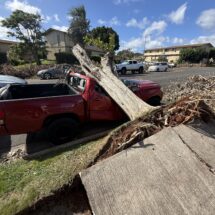 Weeks 53-57  Hurricane Watch